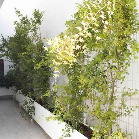 Palm Residences Ξενοδοχείο Πευκοχώρι
