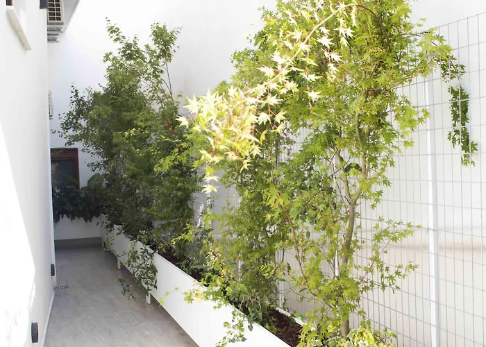 Palm Residences Hotel Pefkochori